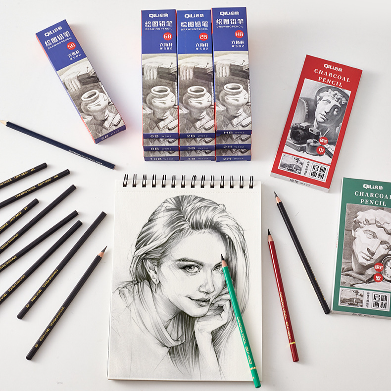 Professional Sketch Pencils Set - 12 Pack Art Graphite Pencils (2H/HB/2B/3B/4B/5B/6B/8B/10B) & Charcoal Pencils (Soft/Medium) For Drawing, Shading_voghion.com