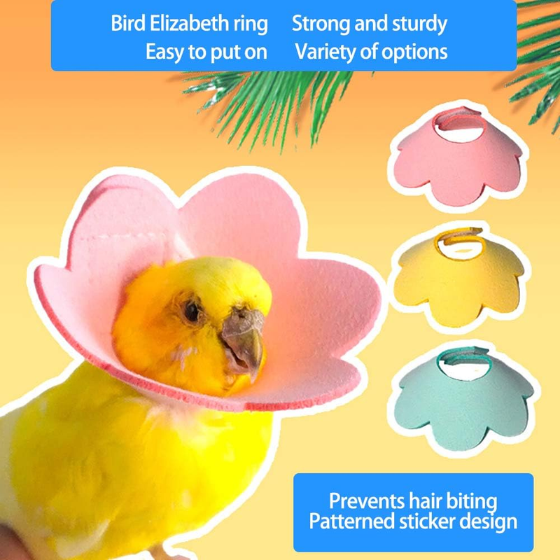 3Pcs Pet Parrot Anti-bite E-Collars, Anti-Grab Feather Plucking Wound Healing Safety Elizabethan Collar, Protective Recovery Cones For Budgerigar Etc._voghion.com
