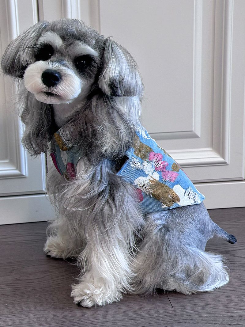 Produse pentru animale de companie Vesta pentru animale de companie Denim Vară Subțire Haine pentru cățeluș Teddy Bichon Corgi Maltese Câine mare Golden Retriever Pisică_voghion.com