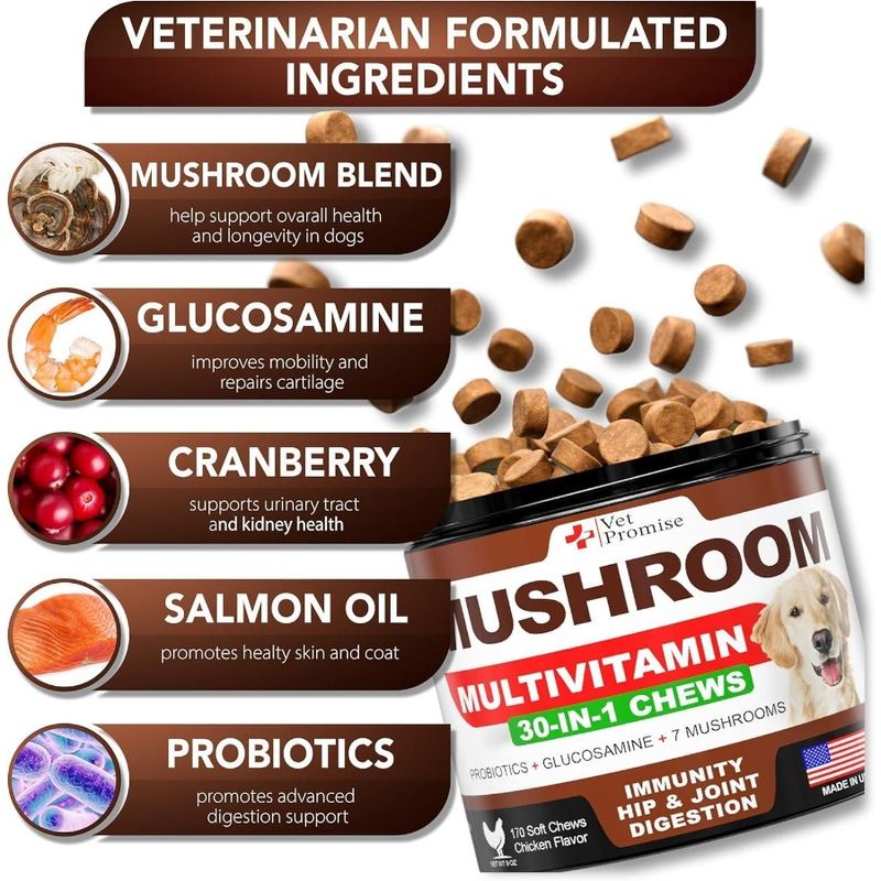 Dogs Chews Supplement Mushroom Dogs Mane For For Mushroom 170 Support Lions Tail Mushroom Turkey For Reishi Multi Immunity Dogs_voghion.com