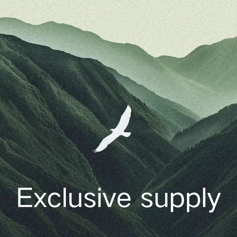 M2762 Women's Muslim New Solid Color Hooded Sweatshirt Fashion Pants Set_voghion.com