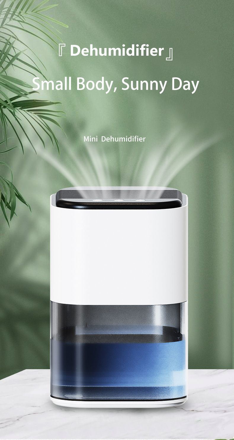Déshumidificateur domestique, petit déshumidificateur de salle de bain, mini absorbeur pour chambre à coucher, déshumidification intérieure_voghion.com