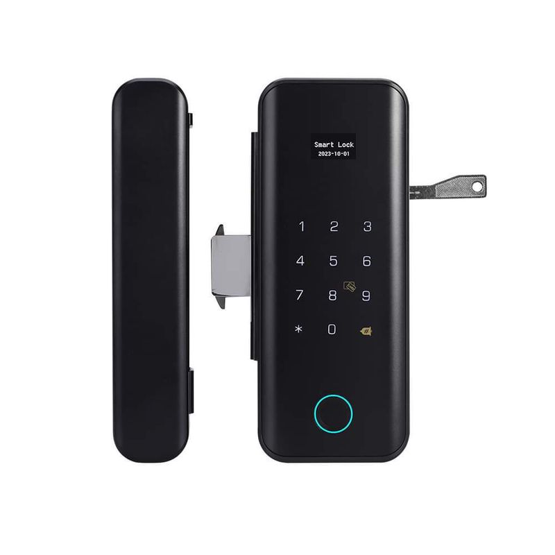 Hot Sale High Cost Performance Glass Door Lock G11S With Fingerprint Password Key_voghion.com