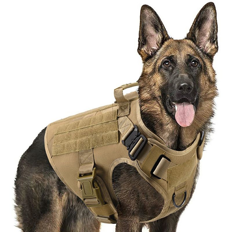 Colete de caminhada MOLLE 1000D para áreas externas, equipamento tático, roupas para cães de estimação_voghion.com