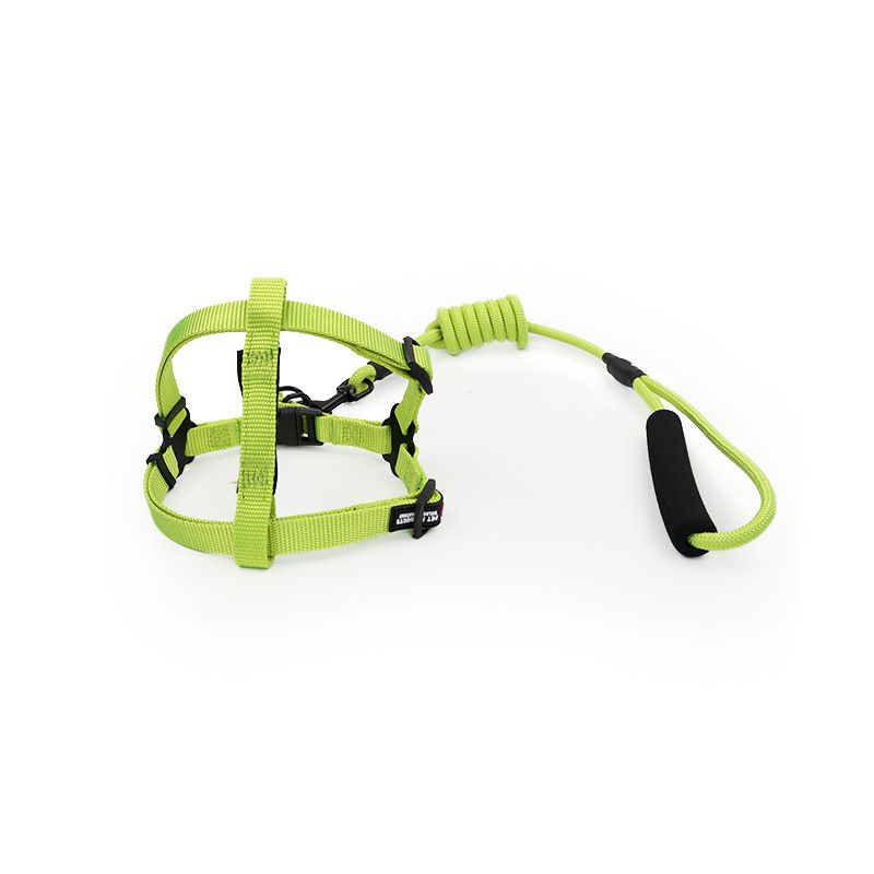 Harnais durable et de couleur unie pour chiens de petite et moyenne taille, laisse de promenade pour chien Teddy_voghion.com