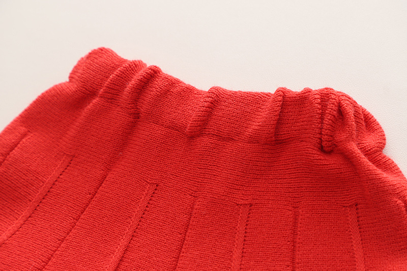 Mädchen pullover kleid, herbst winter neue stil, ein zweig blume bestickt stricken zwei-stück set, baby mädchen mit rückseite_voghion.com