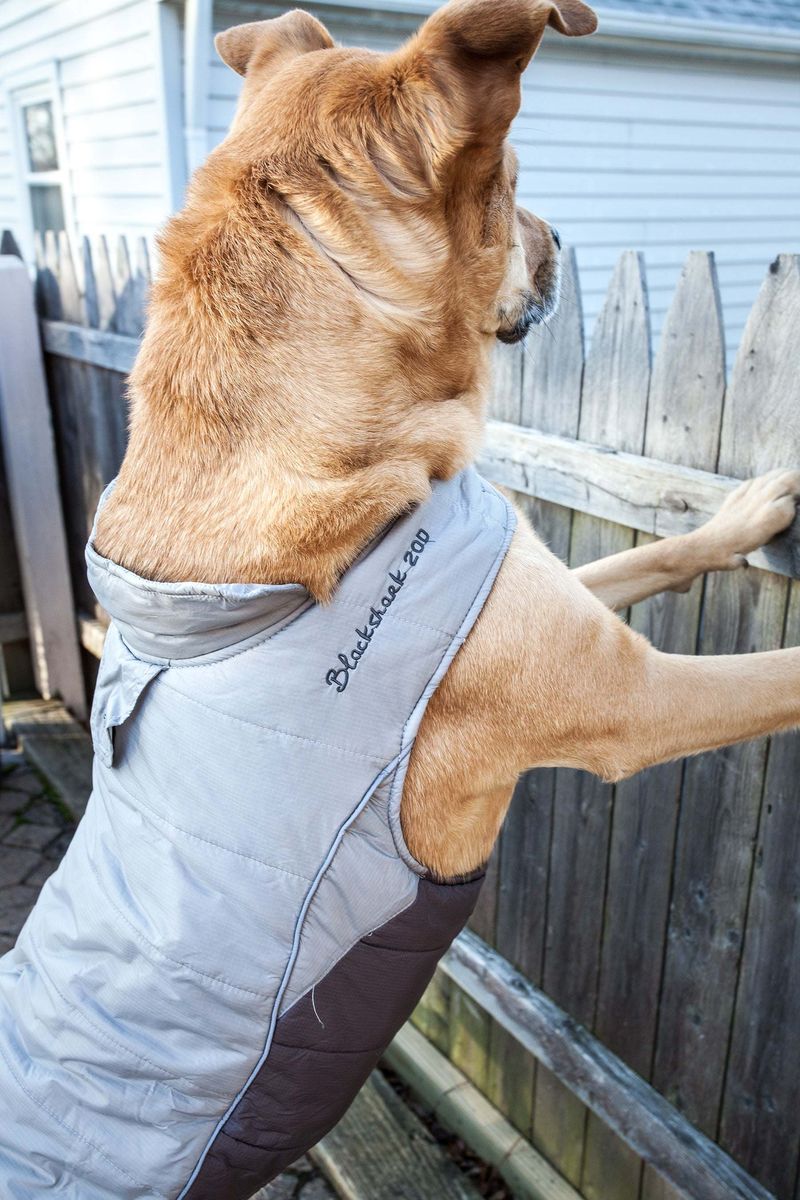 Helios Hurricane-Waded Plush 3M Reflective Dog Coat w/ Blackshark technology_voghion.com