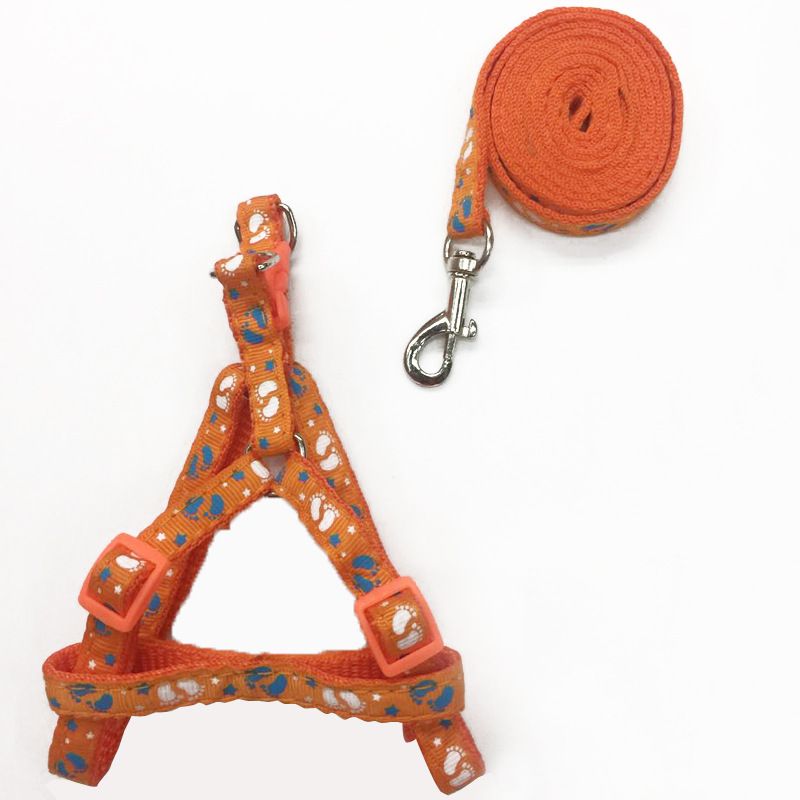 Hot Selling Walking Artifact Teddy Print Dog Rope Anti-Escape Cat Leash Pet Supplies_voghion.com