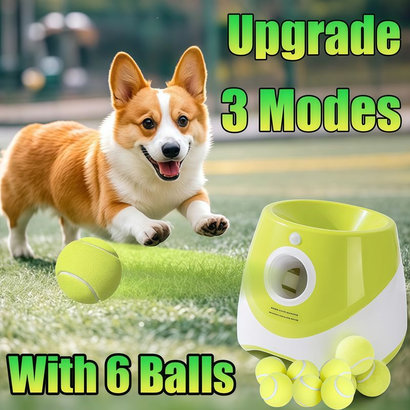Lanzador automático de pelotas de tenis para perros de PawParty Store_voghion.com