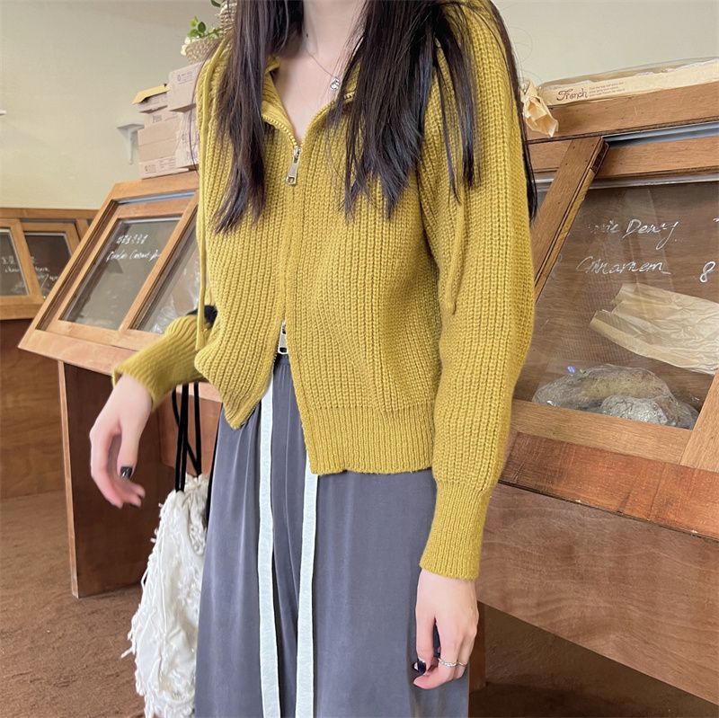 Cardigan lavorato a maglia con cappuccio e cerniera da donna autunno e inverno nuovo design senso stile pigro maglione giacca piccola cima corta_voghion.com