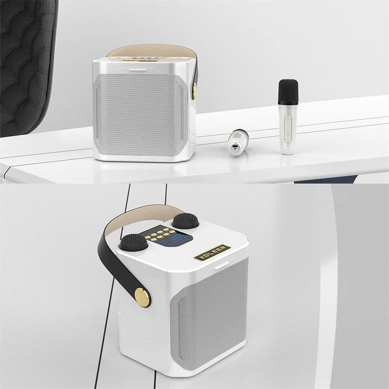 S882 Karaoke-apparaat met dubbele microfoons Verander stemfuncties Draagbare luidspreker Subwoofer TF-kaart U-schijfspeler voor_voghion.com