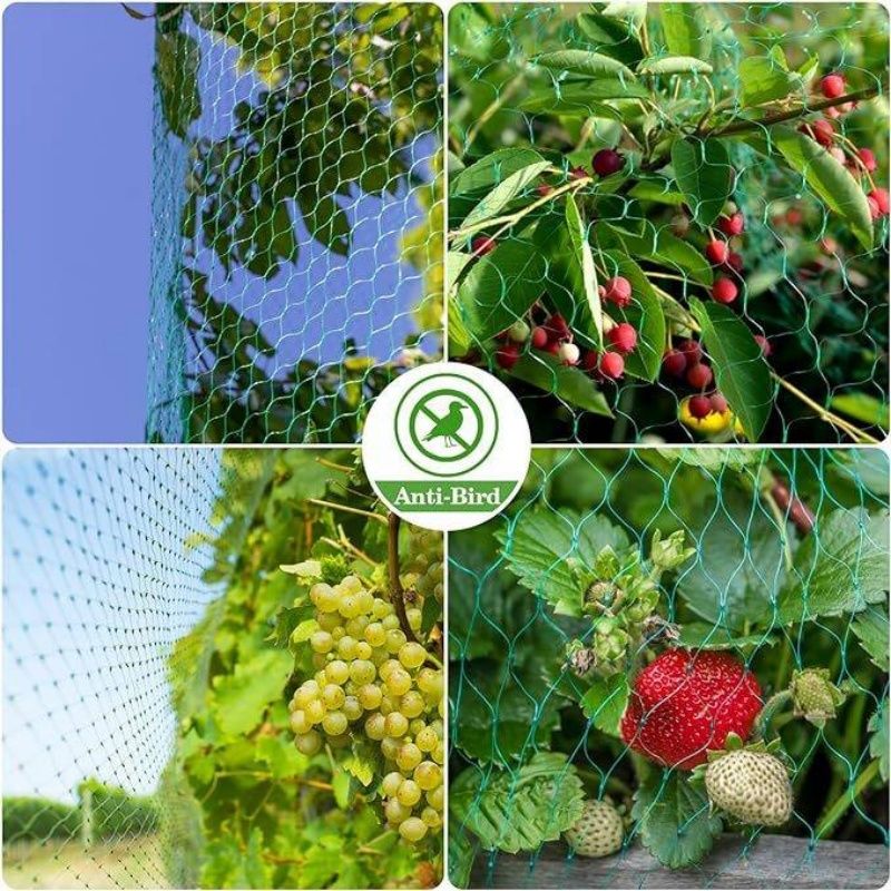 Robuust groen vogelnet voor tuinen en wijngaarden – PE gebreid gaas met UV-bescherming – Verschillende maten (2 m x 5 m/8 m/10 m)_voghion.com