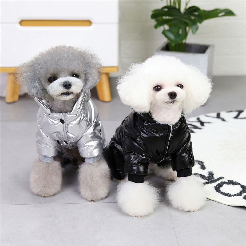 Ropa, ropa de invierno abrigada para perros pequeños, abrigos para cachorros, chaquetas impermeables y aislantes para perros, prendas de vestir, adornos de algodón de PawParty Store_voghion.com