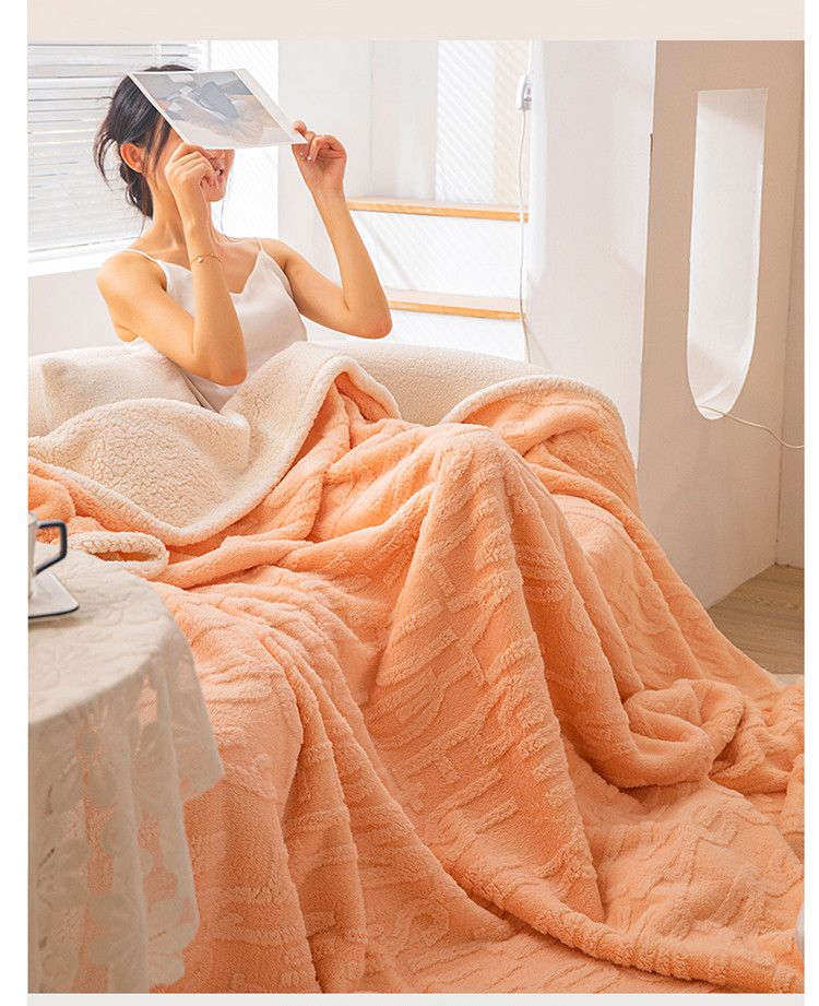 2025 Letter Pattern Taffeta Lamb Wool Thickened Multi-Functional Autumn Winter Throw Double-Sided Fleece Solid Color Nap_voghion.com