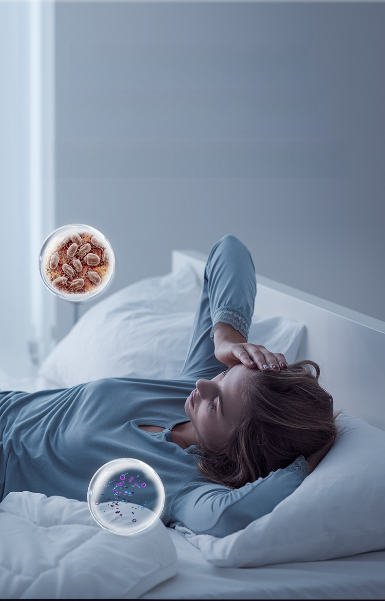 Haushaltsgerät Bett Große Absaugung UV-Sterilisation Kabelloser Staubstaubsauger Sofa Milbenentfernungsinstrument_voghion.com