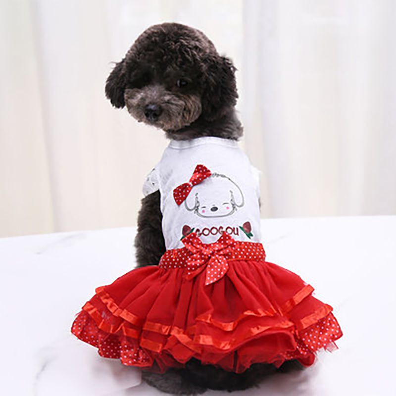 Flauschiges Obstkleid, Rock, schöne Hundekleidung, Yorkies, Chihuahuas mit süßer Tasse, für kleine Hunde und Katzen, Welpenkleidung von PawParty Store_voghion.com