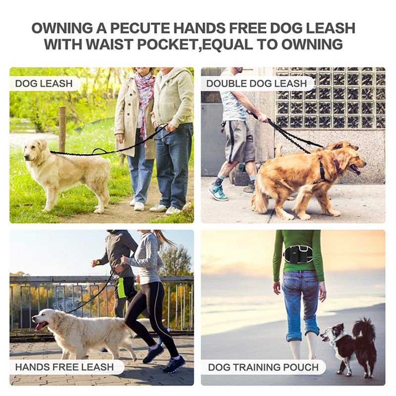 Bolsa de cinto para cães, bolsa de nylon impermeável e refletiva multifuncional para treinamento e lazer ao ar livre, para cães e passeios, da PawParty Store_voghion.com