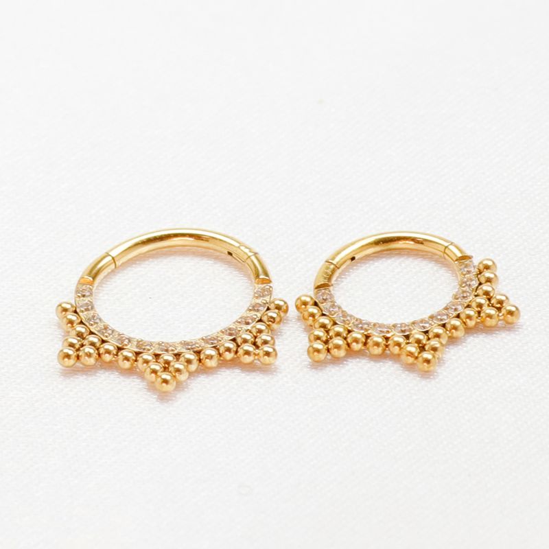 F136 Titanium Nose ring Cartilage Hoop Earrings Septum Clicker 16G Tragus Piercing Lobe Hinged Segment Helix Zircon Body Jewelry_voghion.com