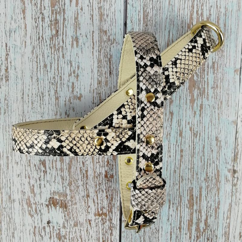 Morbida pettorina in pelle con motivo a serpente, guinzaglio, collare, accessori per animali domestici, nuovo arrivo_voghion.com