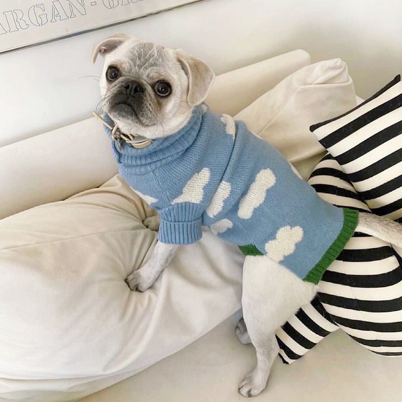 Nouveaux vêtements pour chiots, pulls, printemps, automne, hiver, vêtements pour animaux de compagnie, chat_voghion.com