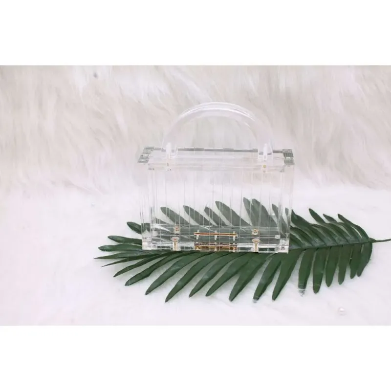 Nuova pochette da sera rettangolare semplice in acrilico trasparente e alla moda per le donne_voghion.com