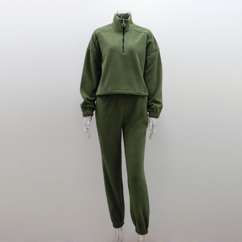 Abbigliamento da donna Felpa in pile polare Tuta Autunno e inverno Polo colletto Top Pantaloni casual Tuta due pezzi_voghion.com