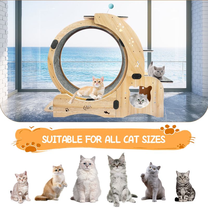 Cat Wheel 6-in-1 Cat Exercise Wheel,Upgraded Cat Wheel Exerciser for Indoor Cats,Large Cat Treadmill,Cat Running Wheel with Silent Wheel,Cat Walking W_voghion.com