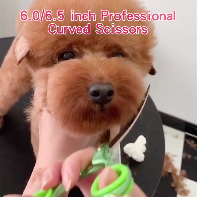 Fenice Professional JP440C&VG10 Animal Grooming Scissors By PawParty Store_voghion.com