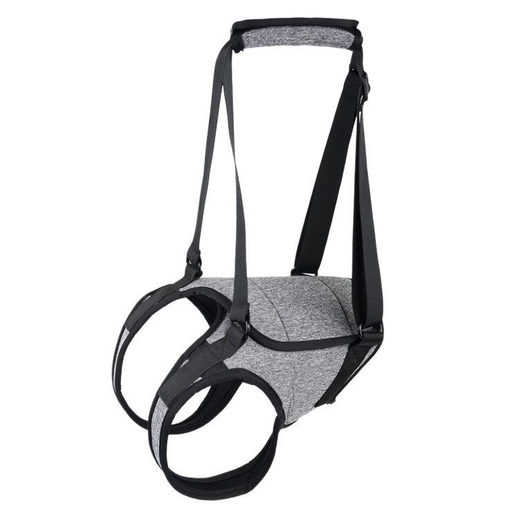 Pet Supplies Hind Leg Harness Elderly Injured Dog Rehabilitation Belt Auxiliary Leash_voghion.com