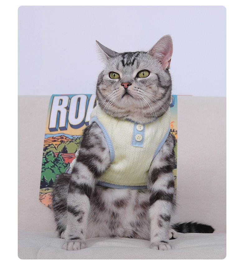 Nuovi vestiti per gatti, autunno e inverno, stile coreano, gilet spesso, abbigliamento per animali domestici, Teddy Bichon, cani di piccola taglia_voghion.com