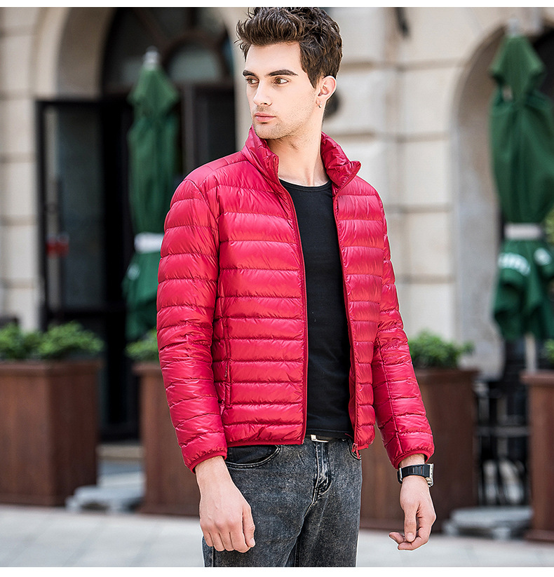 Herren Slim-Fit Daunenjacke mit Stehkragen – Leichter Wintermantel mit Polyester-Außenmaterial (Schwarz/Burgund/Marineblau)_voghion.com