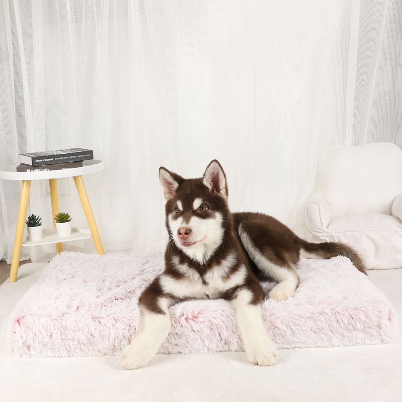 Dog Mat Fluffy Bed Cushion Accessory Supplies Pets Dogs Accessories Basket Baskets Big Small Pet Products Large Beds Sofa Cats_voghion.com