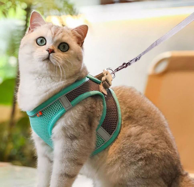Corde de remorquage automatique universelle de 5 mètres pour chat et chien, gilet réfléchissant, respirante et confortable, pratique à utiliser_voghion.com