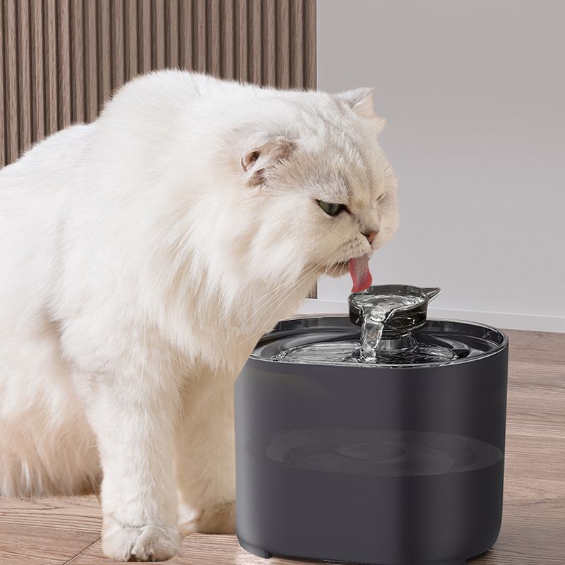 Fontaine à eau pour chats et chiens avec recirculation automatique et filtration, distributeur d'eau électrique USB silencieux, pompe à eau en forme d'oreille de chat._voghion.com