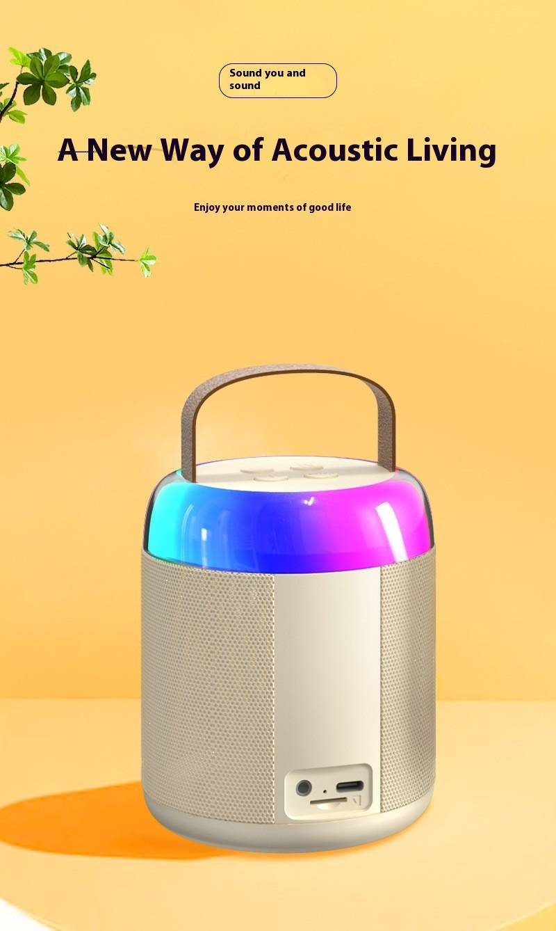 Mini altoparlante Karaoke Bluetooth con microfono - Sistema KTV portatile per bambini e uso domestico_voghion.com
