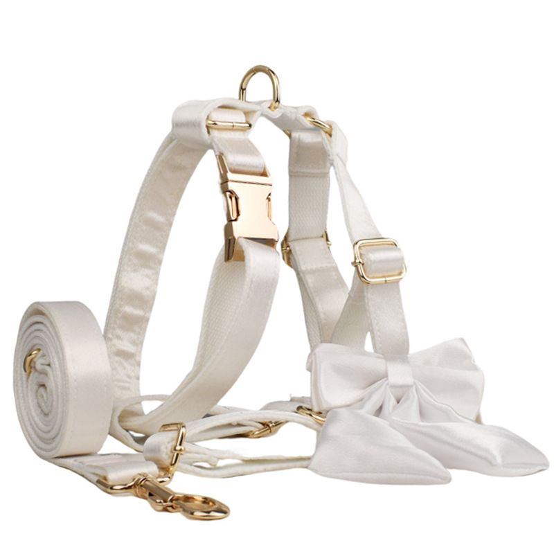 Coleira de cristal branca grande, média e pequena para cachorro, com alça de pescoço e gravável_voghion.com