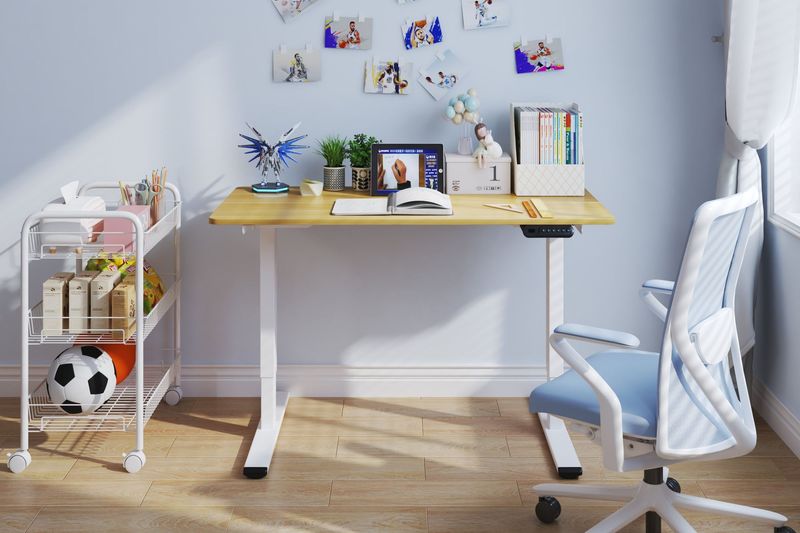 Electric Standing Desk Adjustable Height Desk Home Office Computer Workstation Sit Stand Up Desk, Dual Motor, 48 X 24 Inches (White Frame + Maple Top)_voghion.com