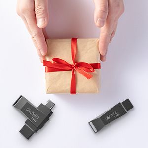 USB Flash Drive 64GB 128GB 256GB 512GB Brzi 2-u-1 USB-C Flash Drive USB 3.0 Thumb Drive Memorijske kartice Metalni Jump Drive Vanjska pohrana_voghion.com