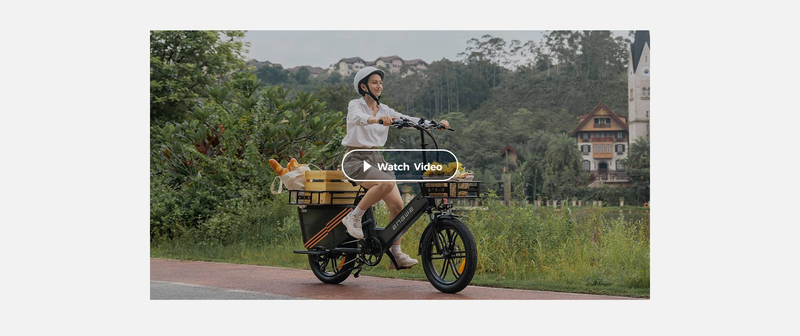 ENGWE LE20 Cargo Electric Bike 250W Vidutinės pavaros sukimo momento jutiklis 20 colių Step-Thru City ebike su 48V 19,2Ah baterija_voghion.com