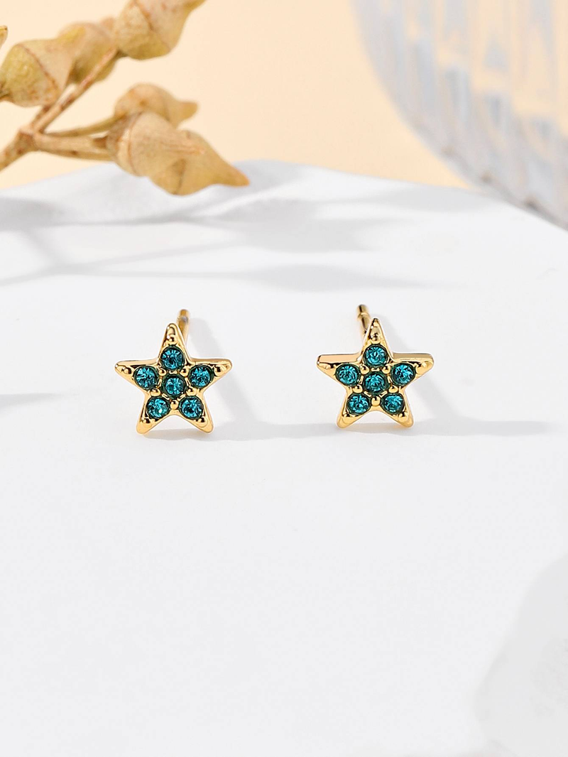 Orecchini Stella Zirconi da Donna in Acciaio Inossidabile_voghion.com