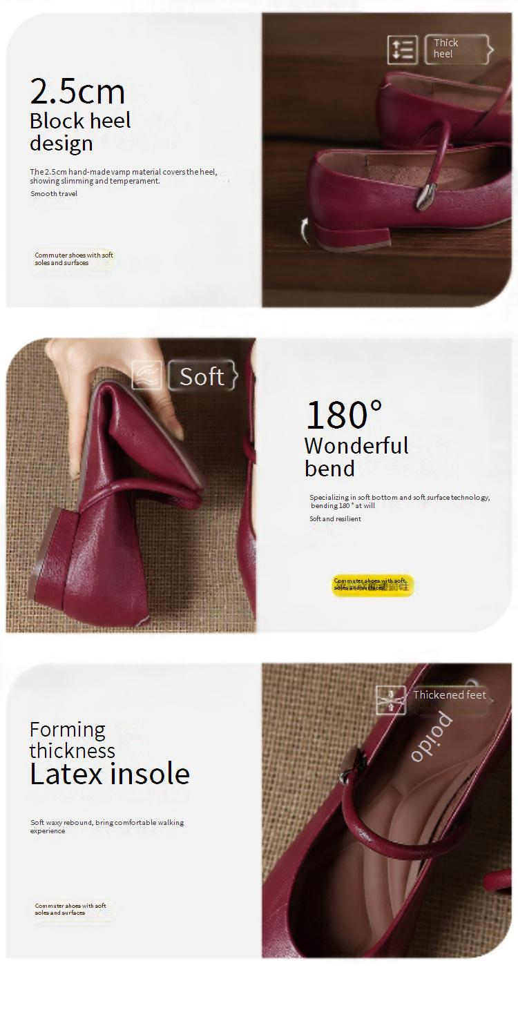 Cameido French Vintage Square Toe Versatile Shallow Square Heel Shoes For Women, 2025 Autumn Mary Jane Style With Ankle Strap_voghion.com