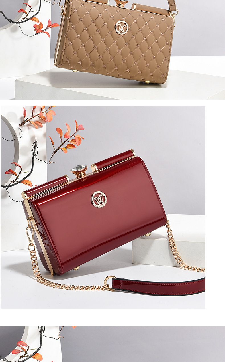 Banquet Steel Clip Women's Bag With Stylish Paint Finish, Shiny Leather, Crossbody Shoulder Bag, Trendy One Piece Hair Collection Handbag_voghion.com