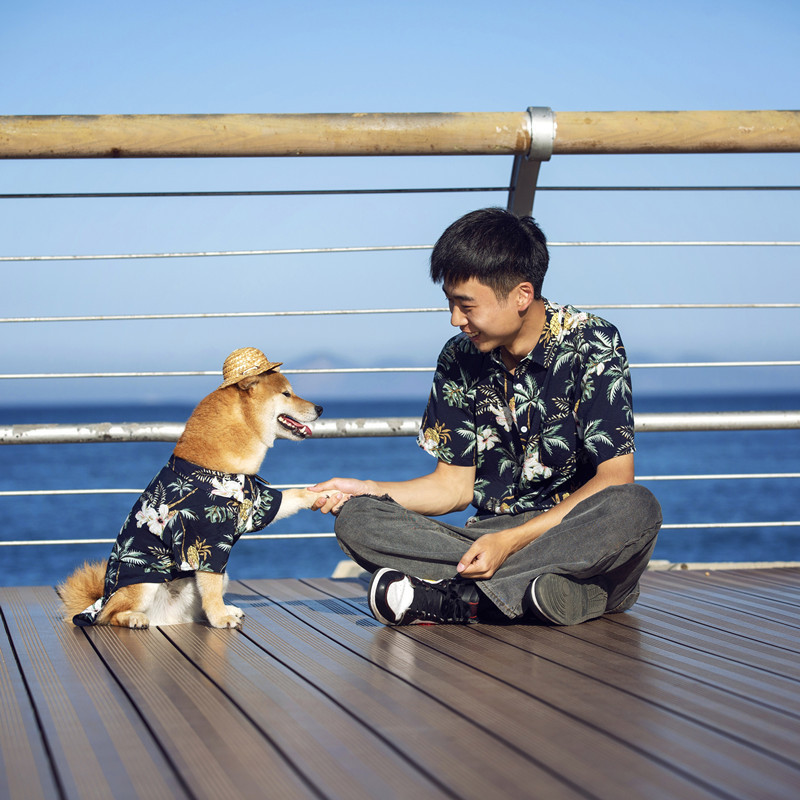 Nuovi vestiti, camicia casual da spiaggia hawaiana, outfit genitore-bambino, cane, animale domestico_voghion.com