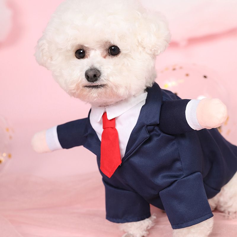 Vêtements pour chiots, smoking, robe de mariée, costume, Teddy, petit chien, vêtements pour animaux de compagnie_voghion.com