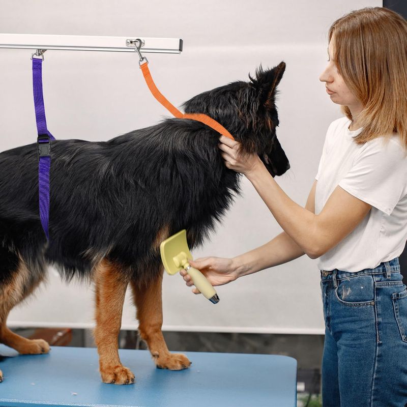 Haustier-Schleife reparierte das Pflegen des justierbaren 2.5cm Hundebad-Sicherheitsseil_voghion.com