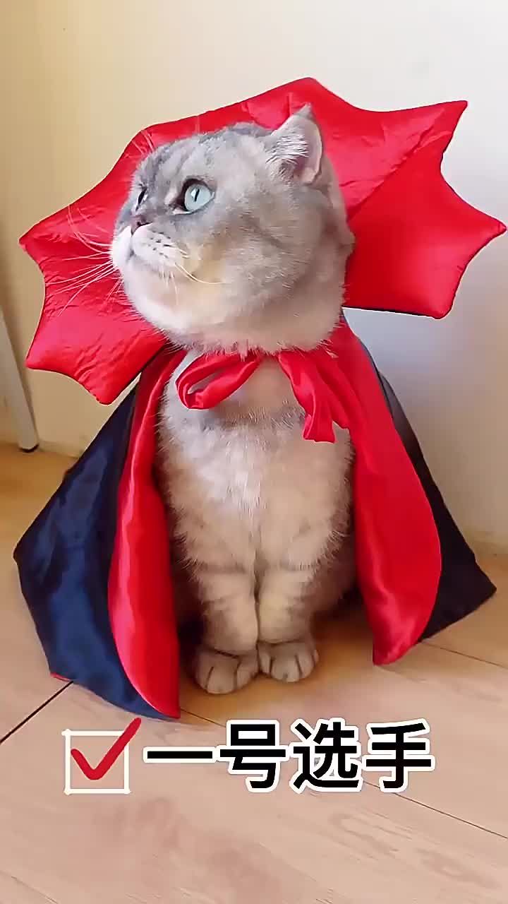 Vampire Costume For Cats And Dogs By PawParty Store_voghion.com