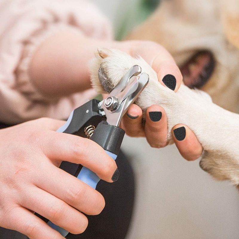 1 tagliaunghie e tagliaunghie per cani e gatti (taglia grande - con protezione di sicurezza per evitare tagli eccessivi, lima per unghie ideale per gatti e cani)_voghion.com
