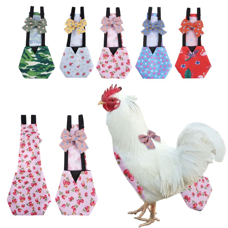 Pui de companie, Scutec, Excremente de pui, Gâscă, Rață Kol, Haine, Scutece murdare, Produse de curățenie_voghion.com