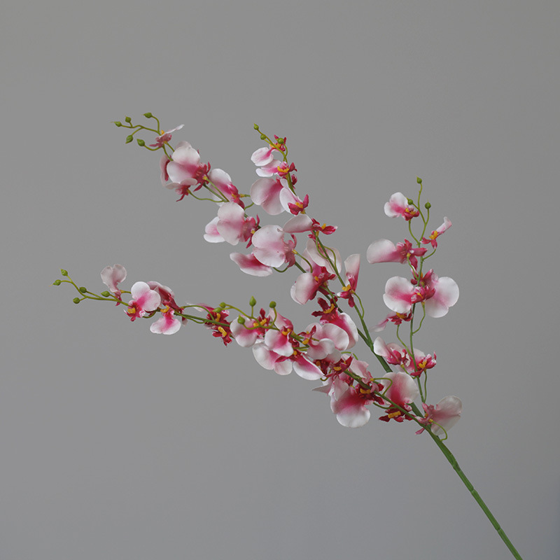 Phalaenopsis soggiorno da terra arte floreale oncidium composizione floreale decorazione domestica_voghion.com