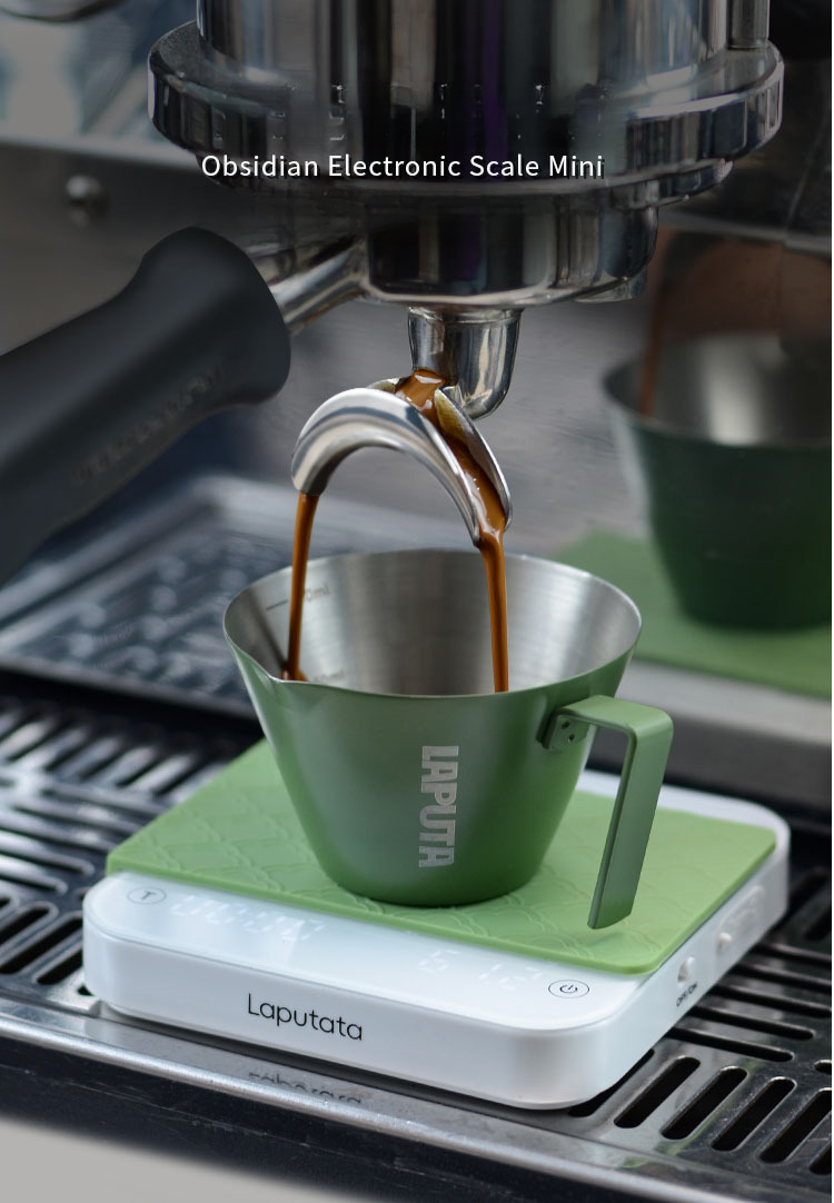 Black Obsidian Electronic Mini Italian Smart Pour Over Coffee Dedicated Small Scale Timer Rechargeable_voghion.com